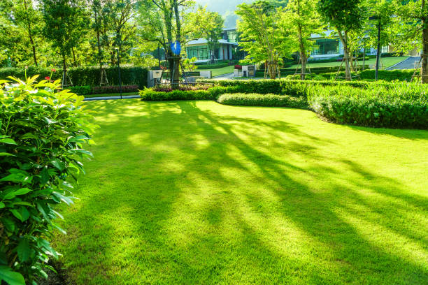 Willow Creek Landscaping & Tree Service