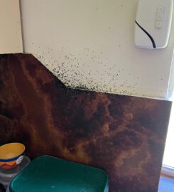 Burkeys Pest Control Townsville & Surrounds
