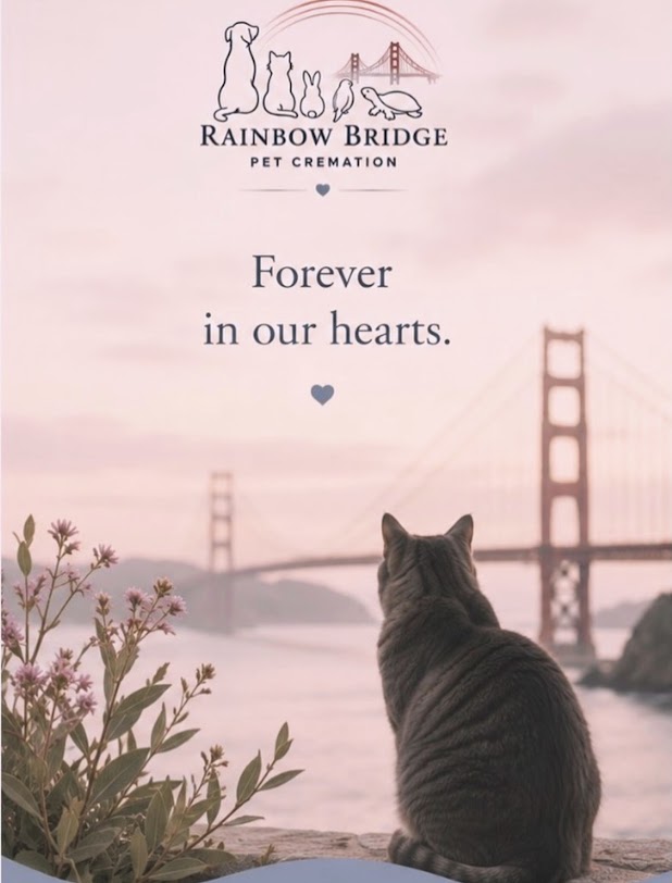 Rainbow Bridge Pet Cremation Services
