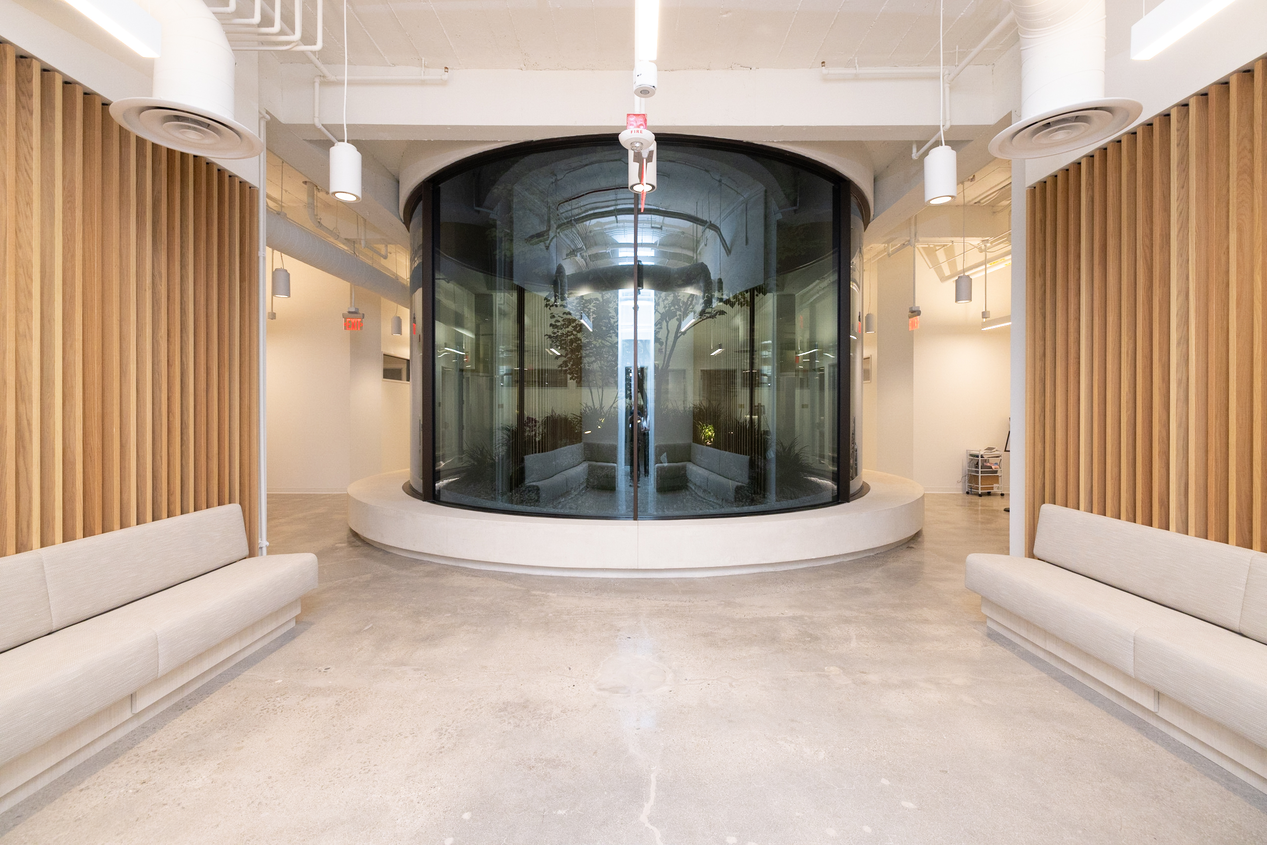 Rodeo Rejuvenation Studio