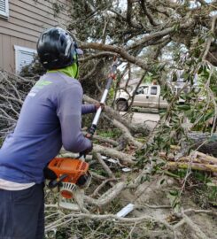 Treasure Coast Tree & Land Services