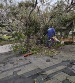 Treasure Coast Tree & Land Services