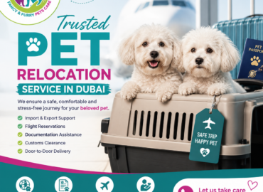 Fancy Furry Pets Care – Luxury Dog Boarding in Dubai