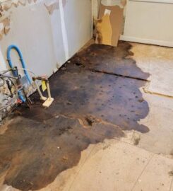 Inspector Nuz'zo Home Inspections