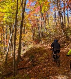 AVL MTB Guides