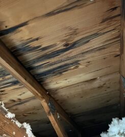 BuildEase by Florida Mitigation Group