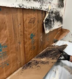 BuildEase by Florida Mitigation Group