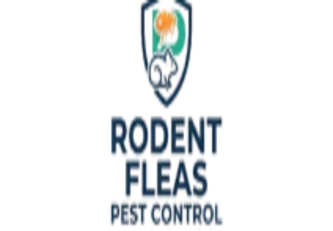 Rodent Fleas Pest Control