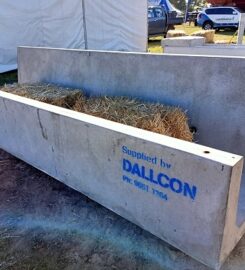 Dallcon