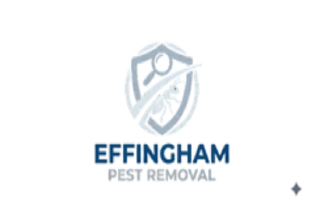 Effingham Pest Removal