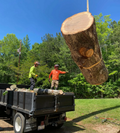 Warrior Tree Service