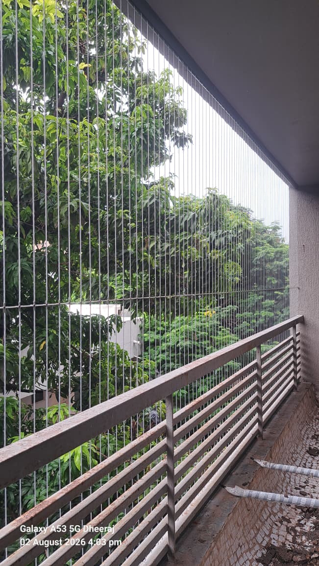 Dream curtain blinds