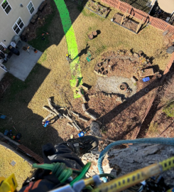 Warrior Tree Service