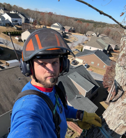 Warrior Tree Service