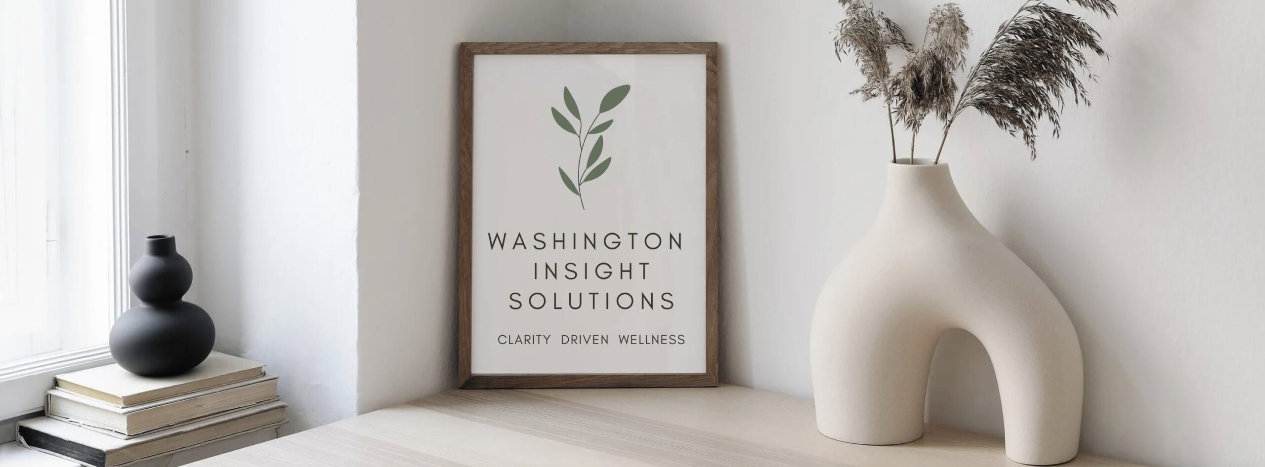 Washington Insight Solutions