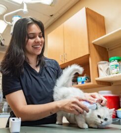A Cat Hospital
