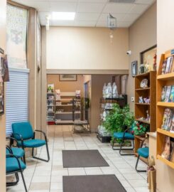A Cat Hospital