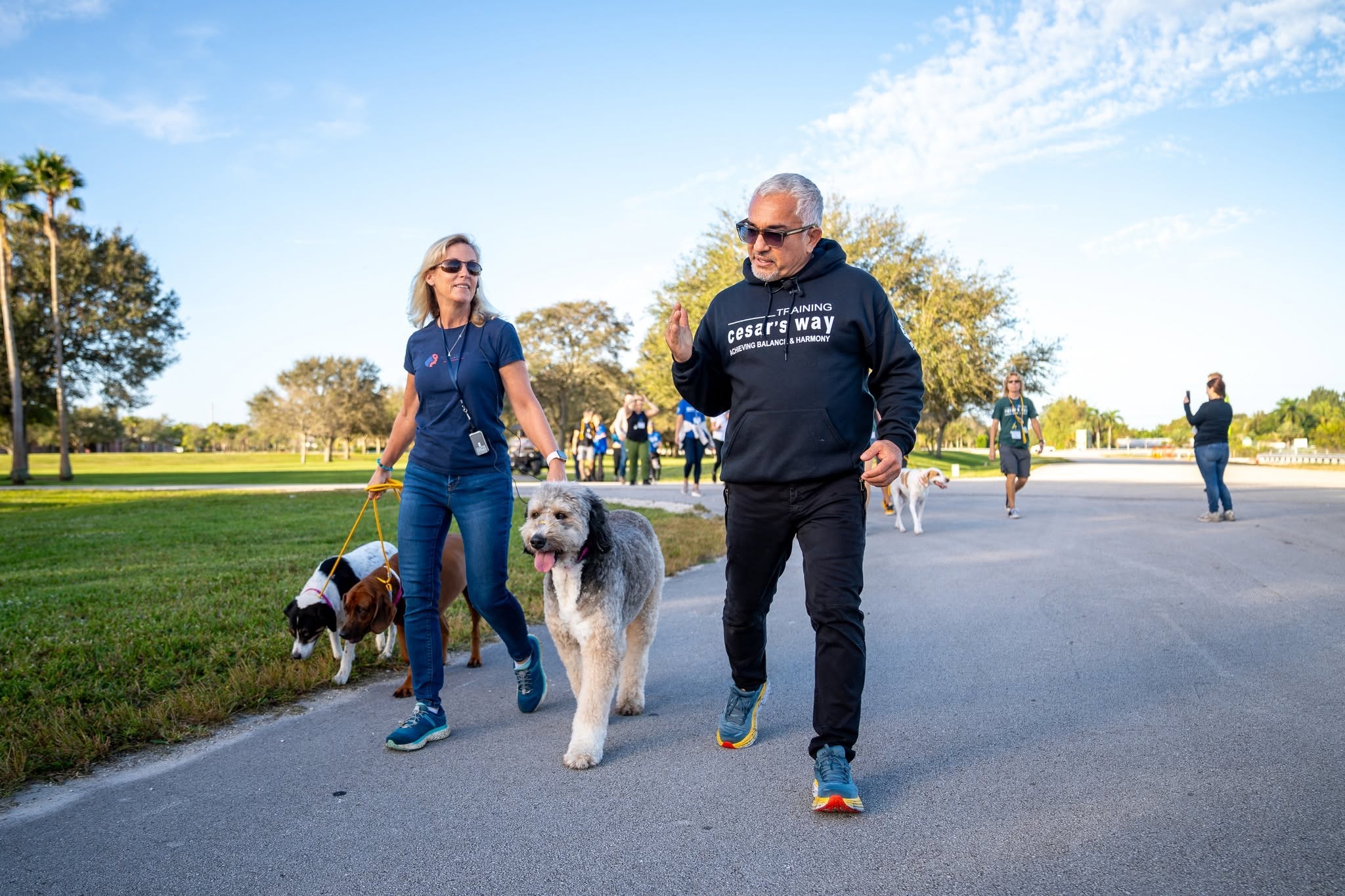 Always Faithful Dog & Puppy Training South-Coast MA