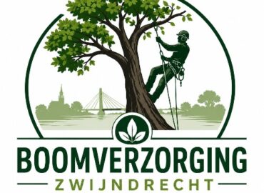 Boomverzorging Zwijndrecht