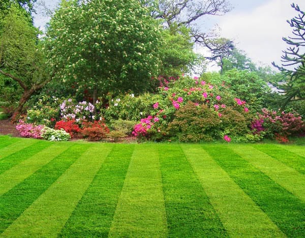 PGA Lawn Care