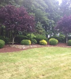 Cook's Horticulture & Landscape Services