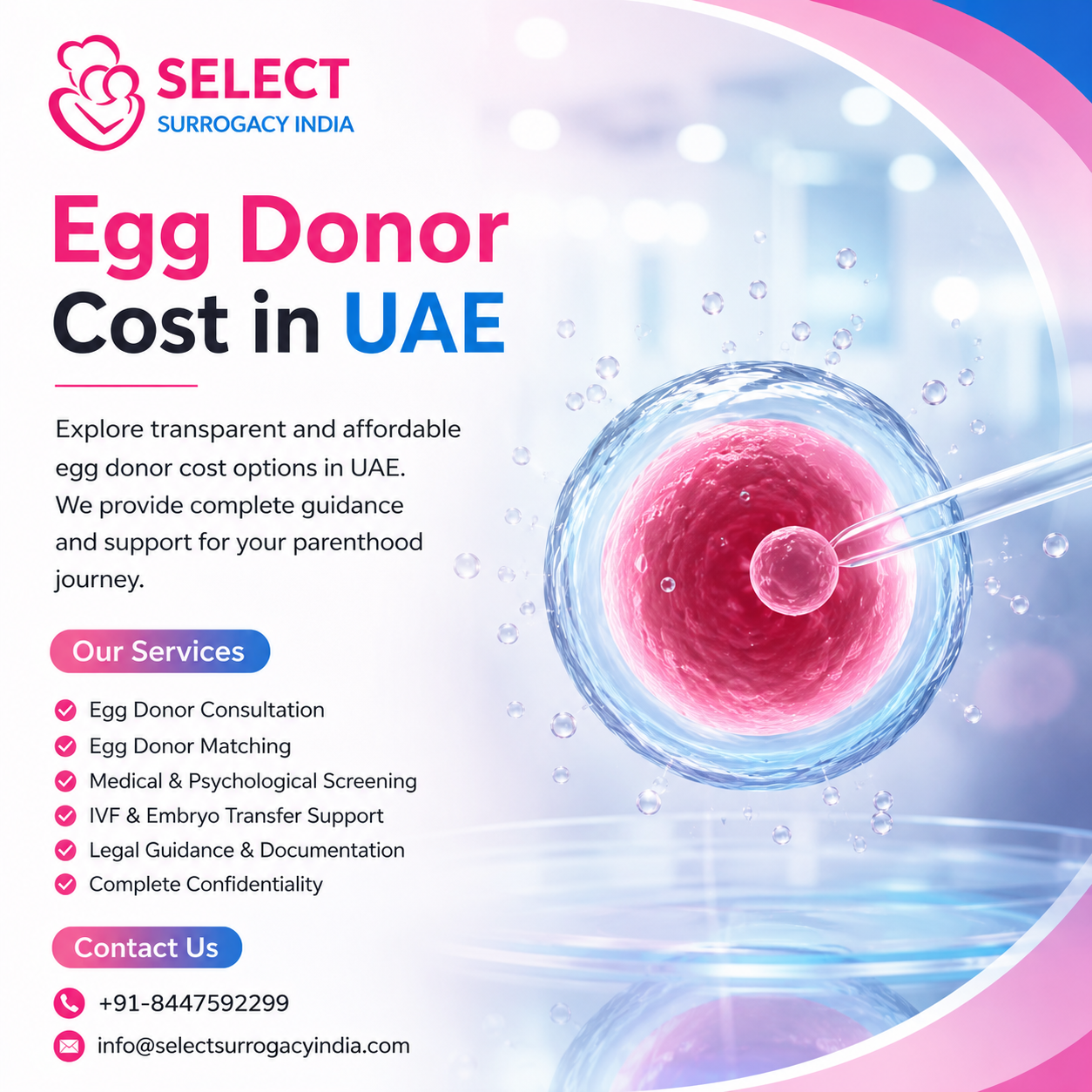 Egg Donor Cost in UAE