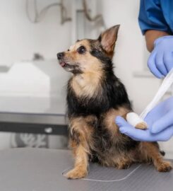 Heidt Veterinary Hospital