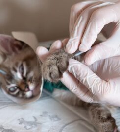 Heidt Veterinary Hospital