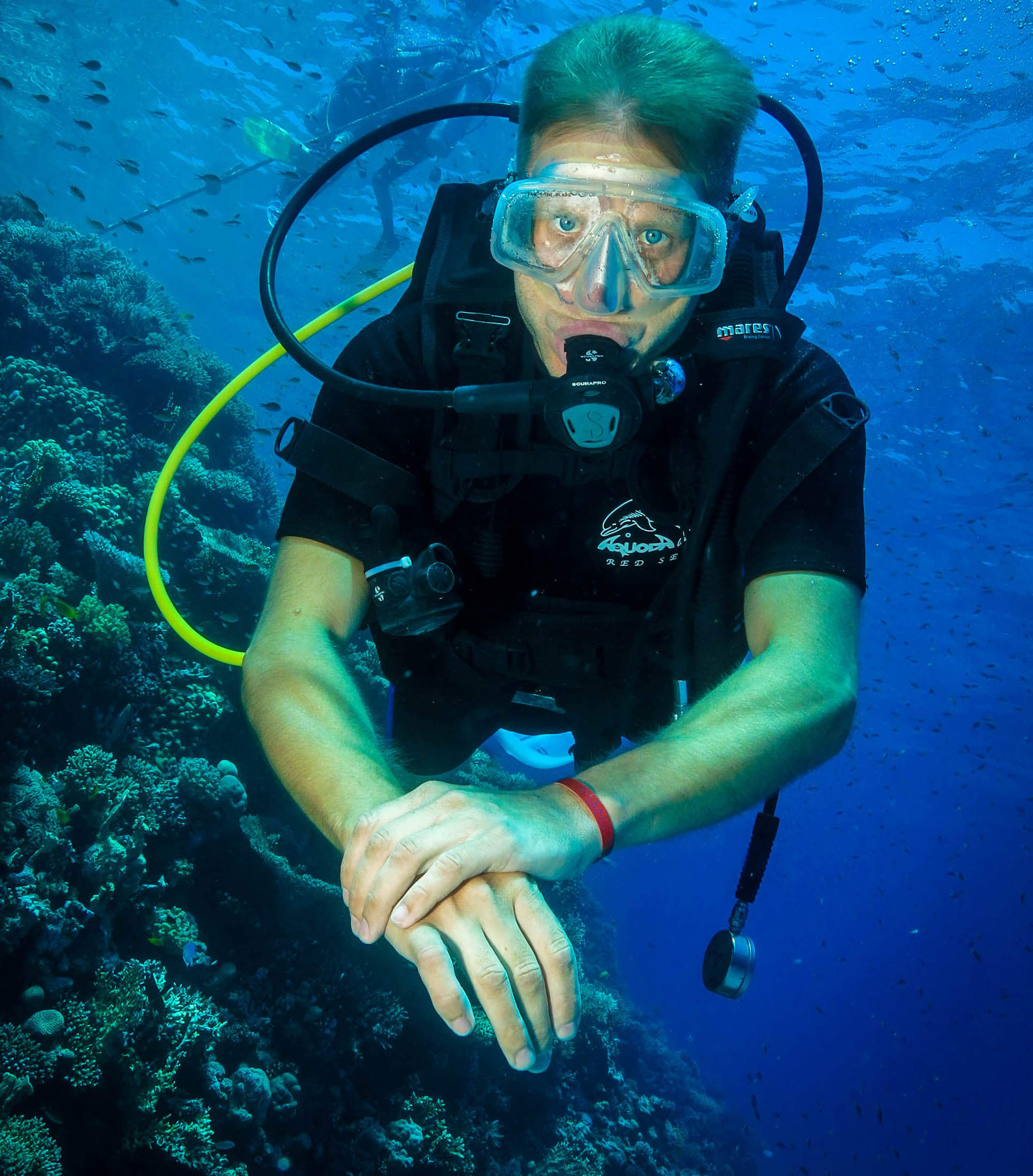 Tauchkurs Hurghada PADI & SSI & CMAS – Deutsche Tau &hellip;