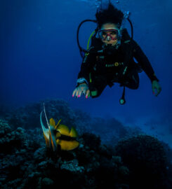 Tauchkurs Hurghada PADI & SSI & CMAS – Deutsche Tau &hellip;