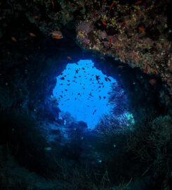 Tauchkurs Hurghada PADI & SSI & CMAS – Deutsche Tau &hellip;