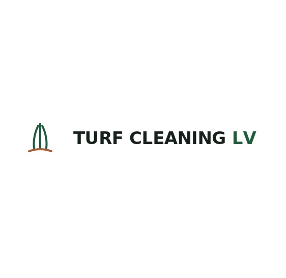 Turf Cleaning LV