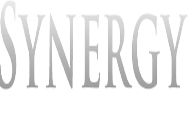 Synergy Limousine