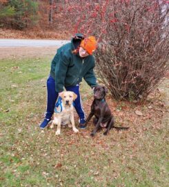 Northern Lakes Veterinary Hospital