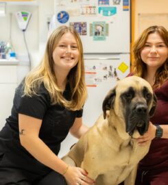 Northern Lakes Veterinary Hospital