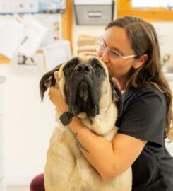 Northern Lakes Veterinary Hospital
