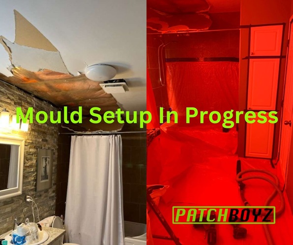 PatchBoyz Mold Removal – Asbestos & Restoration