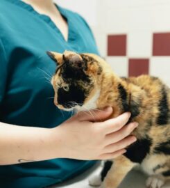 Pine City Animal Hospital