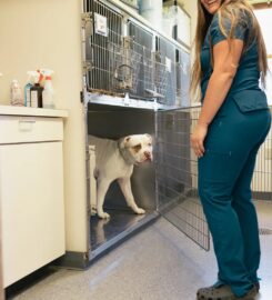 Pine City Animal Hospital