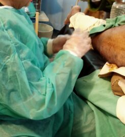 Sohail OrthoCure