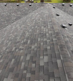 Top Shield Roofing and Chimney