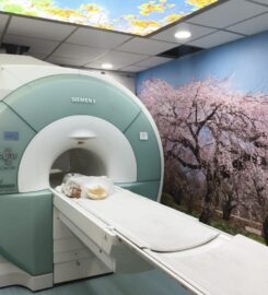 Satyam Diagnostic Centre – Advanced Diagnostic Services in Sult &hellip;