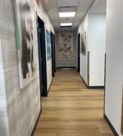 University Animal Hospital