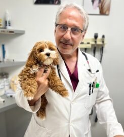 University Animal Hospital