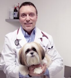 University Animal Hospital
