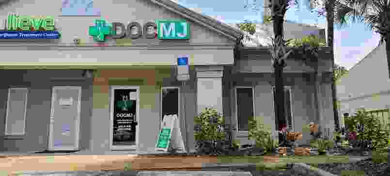 DocMJ