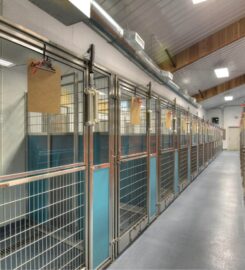 Stay and Play Pet Resort