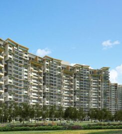 NewWay Properties