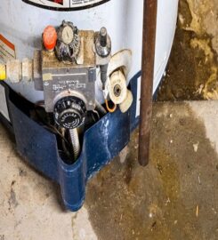 Joe Cool Home Services (Tampa)