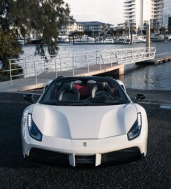 Exotics on the Coast
